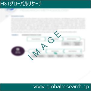 グローバルリサーチ調査レポートのイメージ